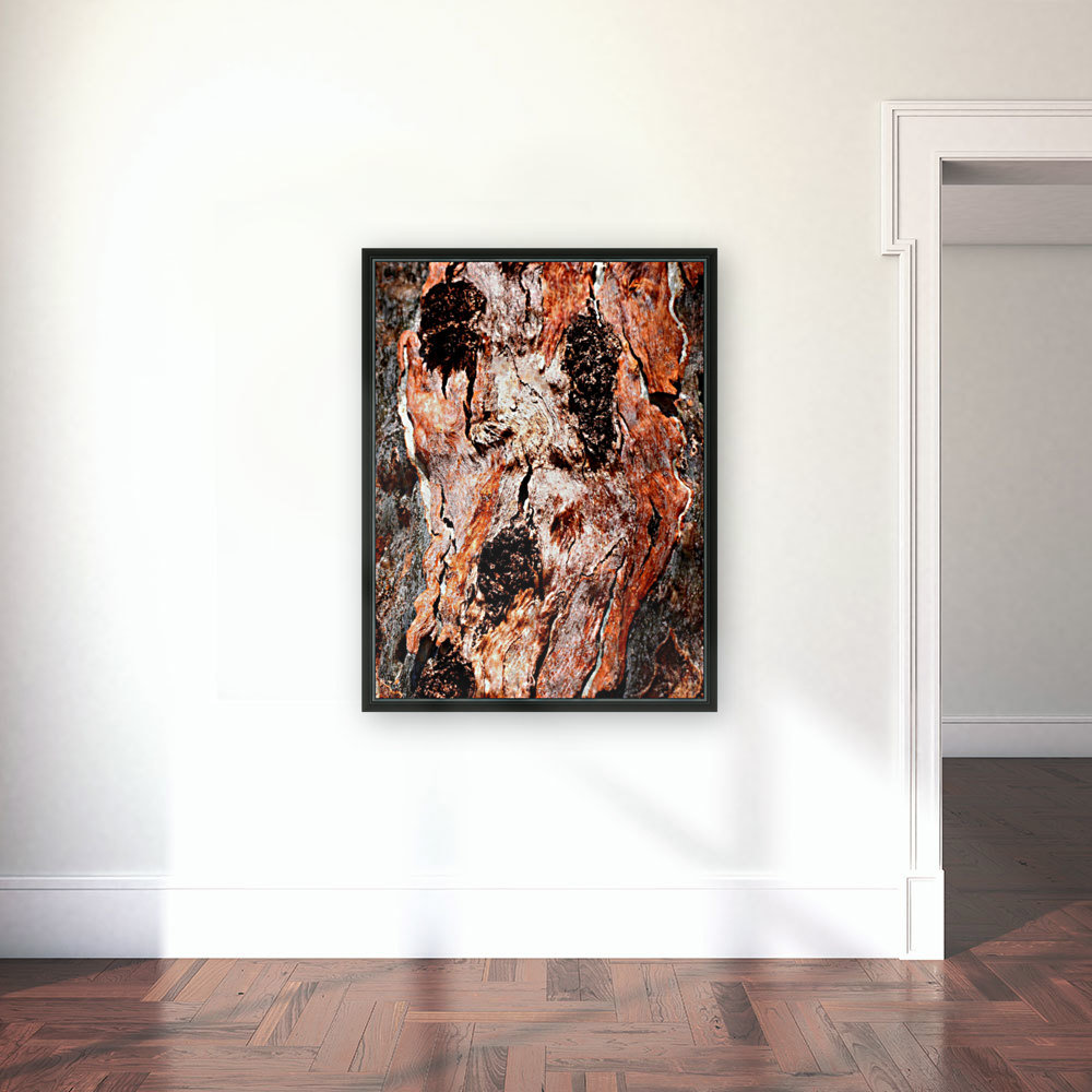 Murray Gum Tree Bark 9 Reproduction