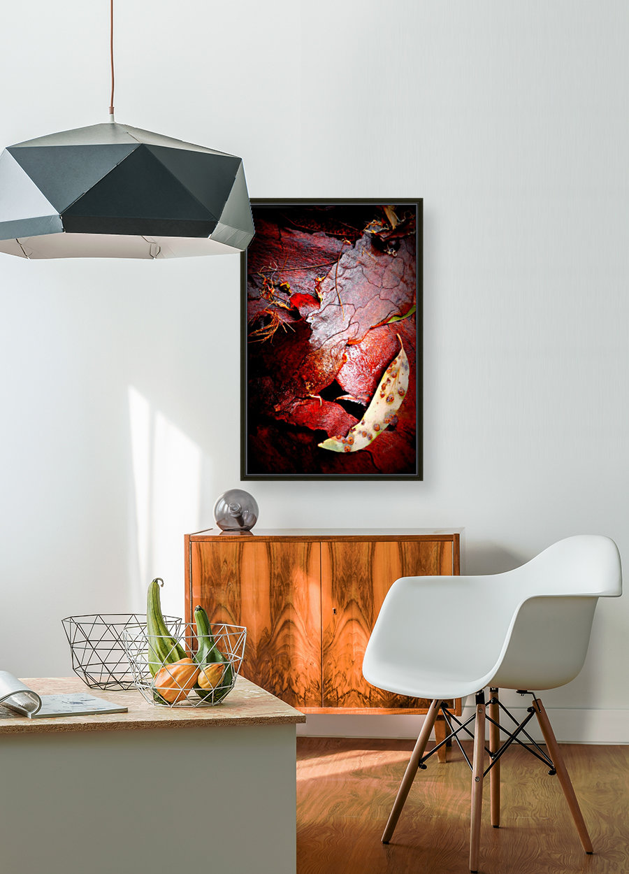 Aussie Gum Tree Bark - 10 Reproduction