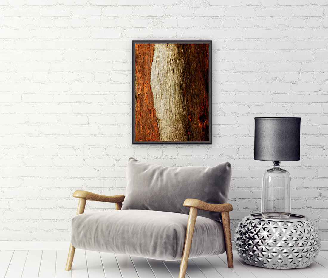 Murray Gum Tree Bark 17 Reproduction