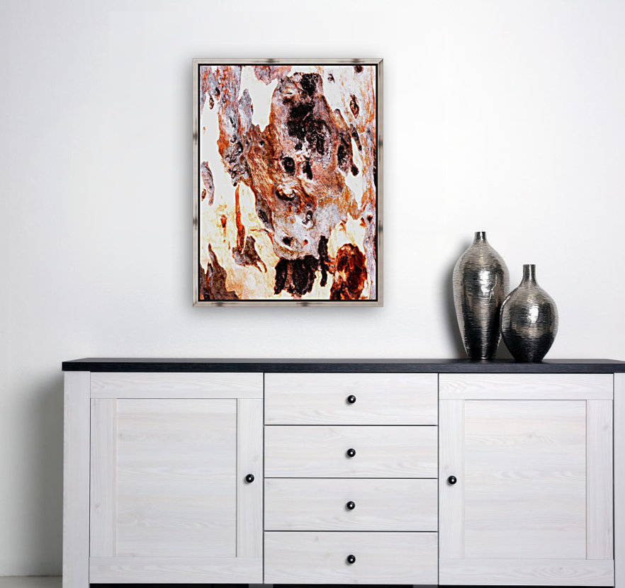 Aussie Gum Tree Bark - 17 Reproduction