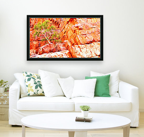Pink Delight - Ormiston Gorge Reproduction