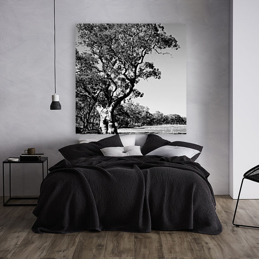 Old Gum Tree BW Reproduction