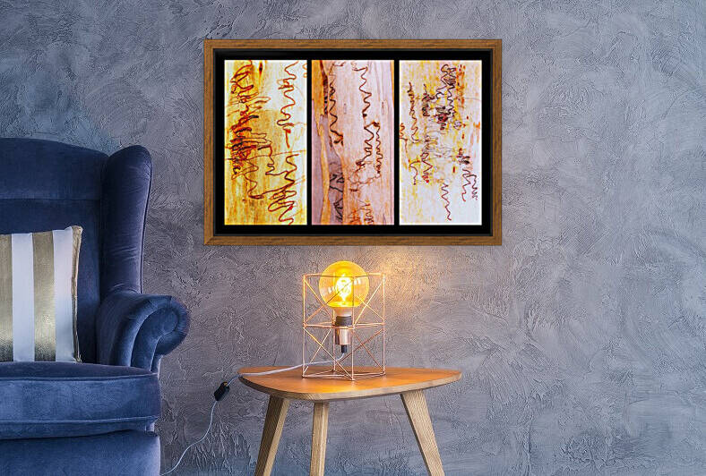 Scribbly Gum Tree Bark Triptych 2 by Lexa Harpell