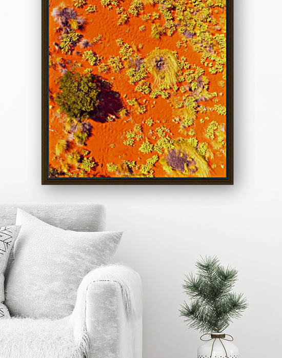 Dunes Aerial  - Central Australia by Lexa Harpell