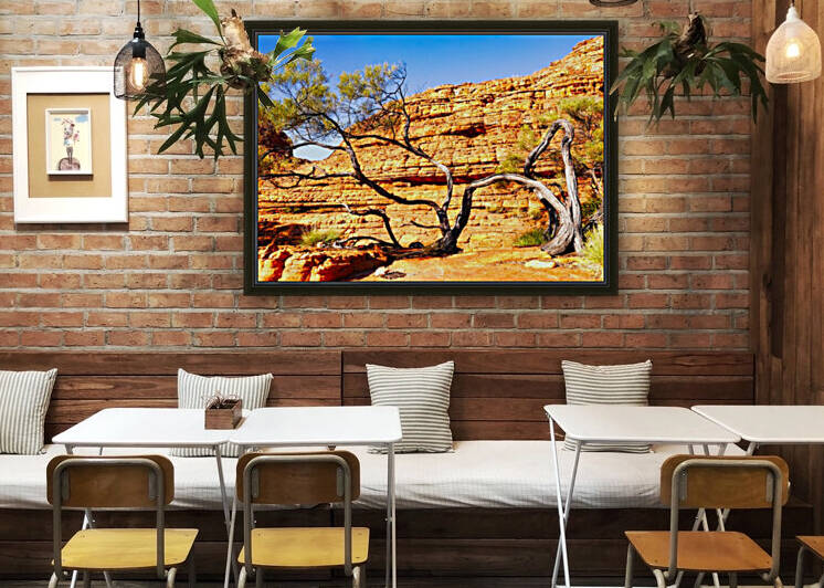 Twisted Tree - Kings Canyon by Lexa Harpell