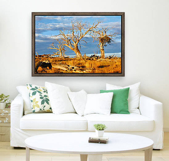 Beautiful Bare Trees 1 by Lexa Harpell