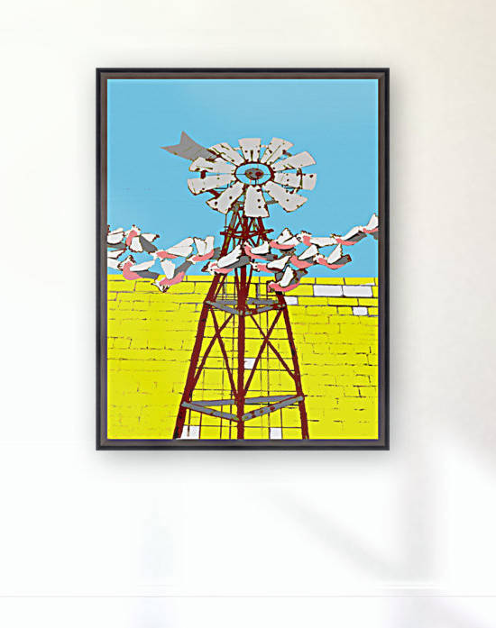 Windmill and Galahs by Lexa Harpell