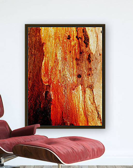 Murray Gum Tree Bark 2 by Lexa Harpell