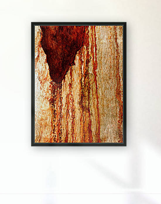 Murray Gum Tree Bark 7 by Lexa Harpell