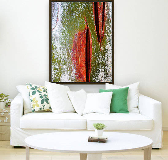 Murray Gum Tree Bark 10 by Lexa Harpell
