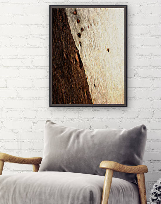 Murray Gum Tree Bark 15 by Lexa Harpell