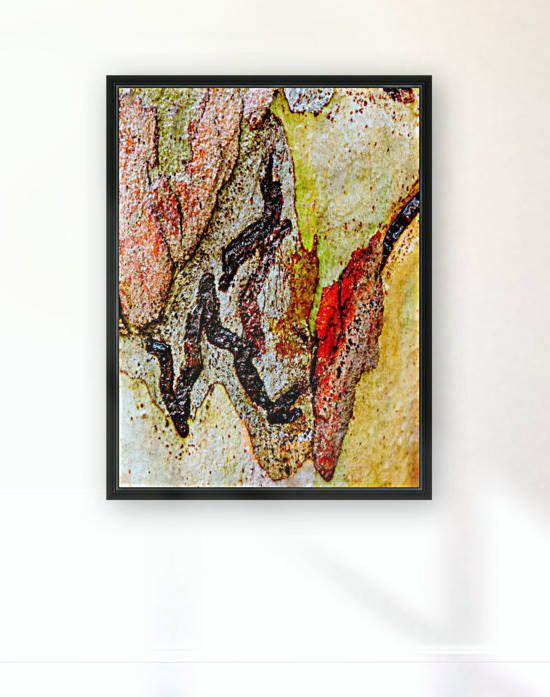 Aussie Gum Tree Bark - 9 by Lexa Harpell