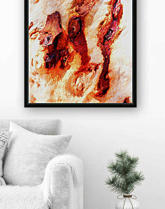Aussie Gum Tree Bark - 13 by Lexa Harpell