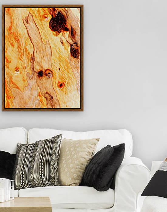 Aussie Gum Tree Bark - 16 by Lexa Harpell