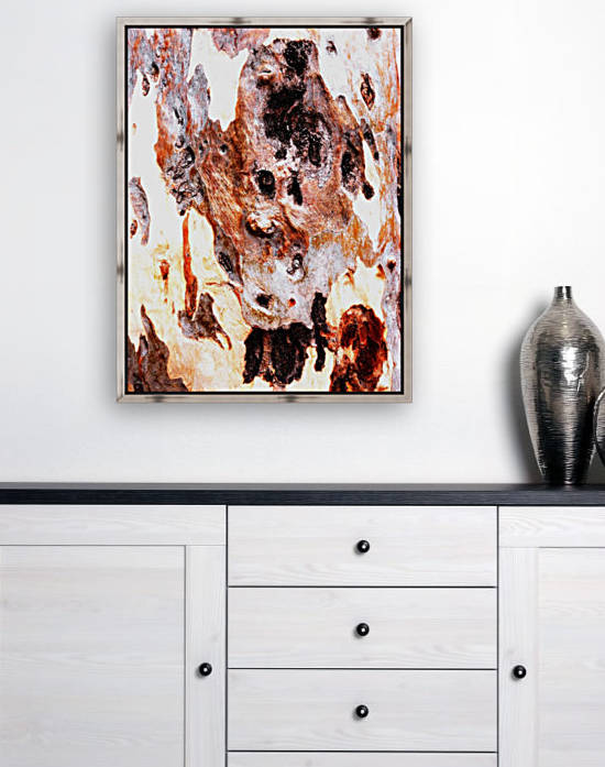 Aussie Gum Tree Bark - 17 by Lexa Harpell