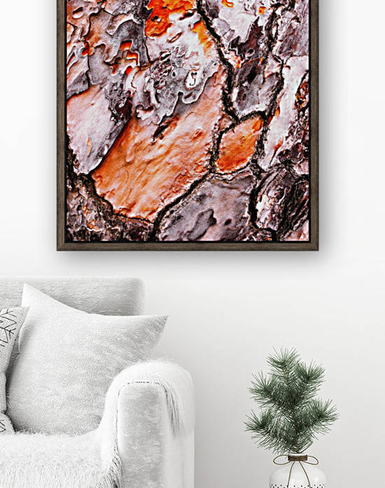 Pine Tree Bark 2 by Lexa Harpell