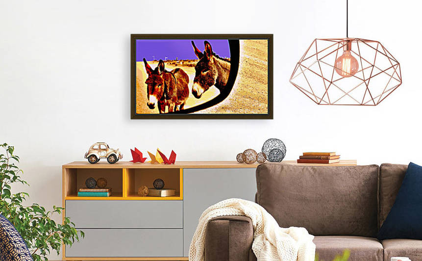 Donkeys of the Outback by Lexa Harpell