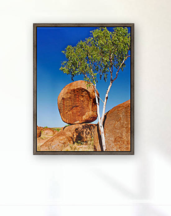 Solitary - Devils Marbles by Lexa Harpell