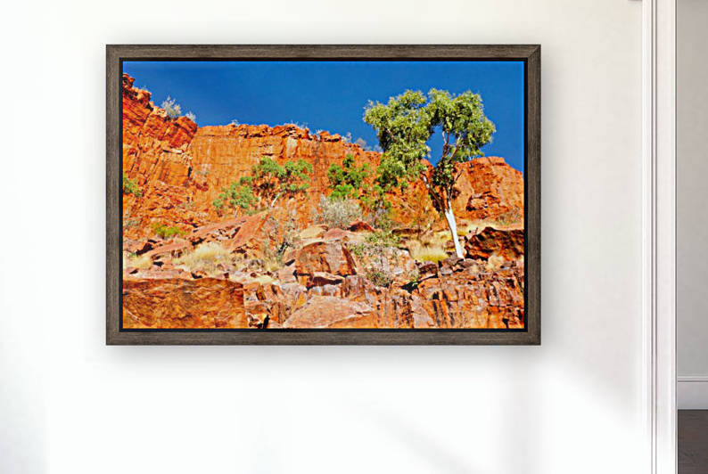 Ormiston Gorge Landscape by Lexa Harpell