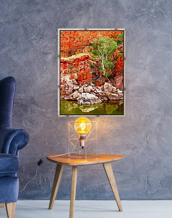 Life in the Gorge - Ormiston Gorge by Lexa Harpell