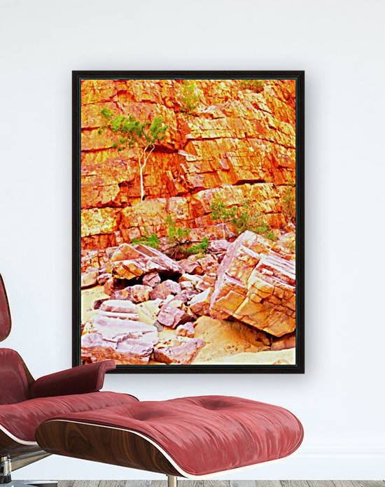 Surviving - Ormiston Gorge by Lexa Harpell
