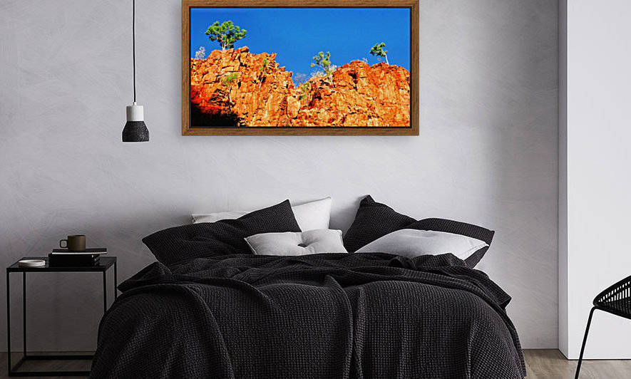 Skyline - Ormiston Gorge by Lexa Harpell
