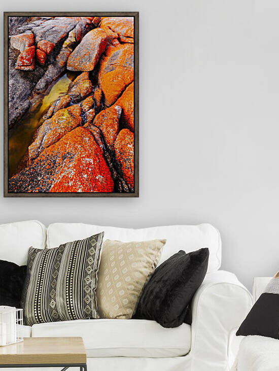 Australia Rocks - Abstract 40 by Lexa Harpell