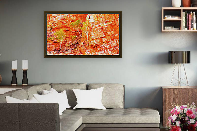 Growing in the Rocks - Ormiston Gorge by Lexa Harpell