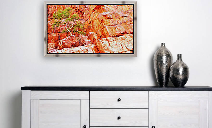 Growing in the Rocks - Ormiston Gorge 2 by Lexa Harpell