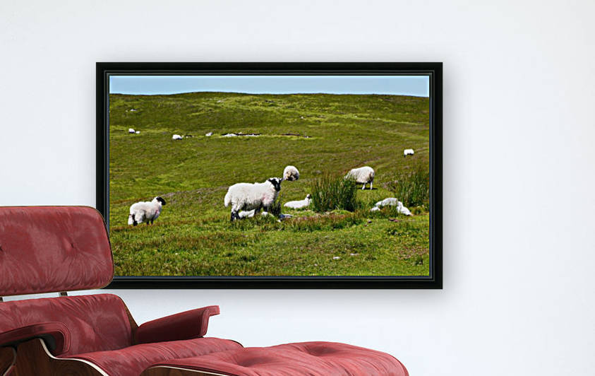 Remote Hills of Glencolmcille by Lexa Harpell