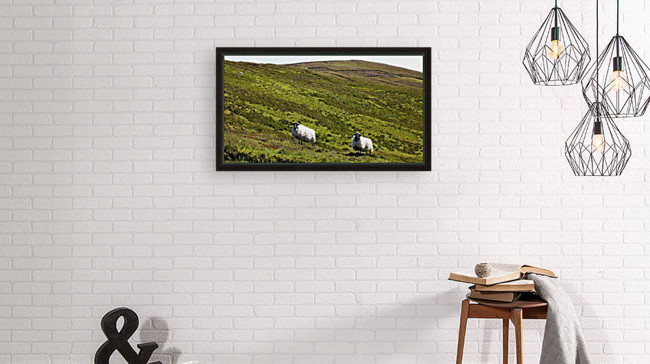 Remote Hills of Donegal by Lexa Harpell