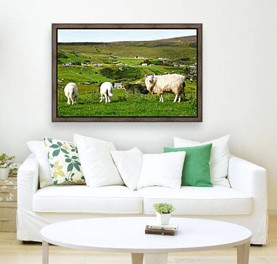 Sheep of Glencolmcille Country Donegal by Lexa Harpell