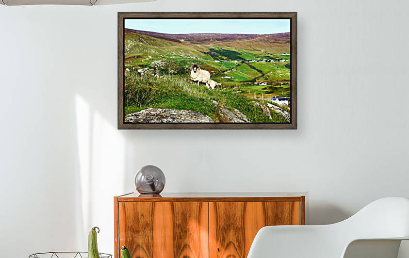 Local Resident - County Donegal by Lexa Harpell