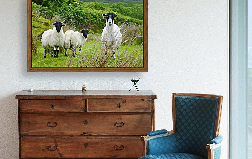Stare Off - Ti Linn - Ireland by Lexa Harpell
