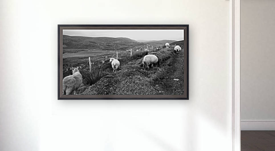 Path to Glencolmcille in BW by Lexa Harpell