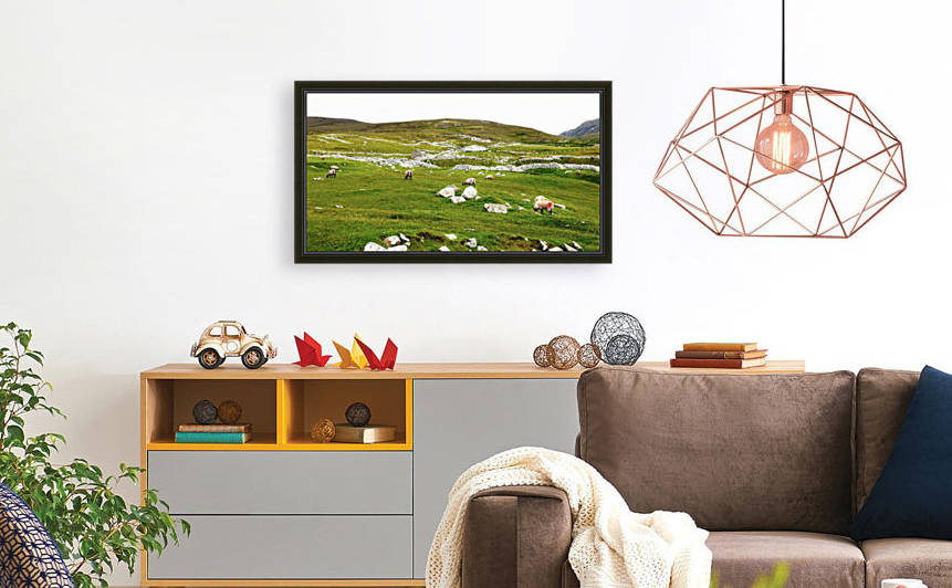 Sheep and Stones - Remote Port by Lexa Harpell