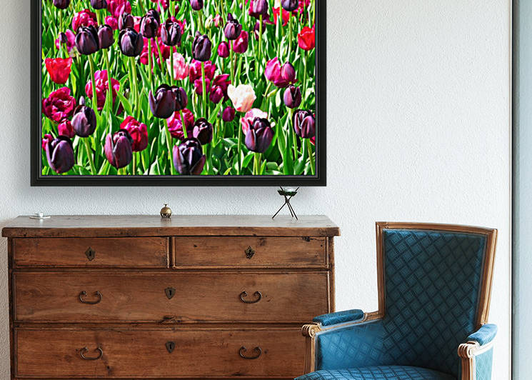 Field of Tulips by Lexa Harpell