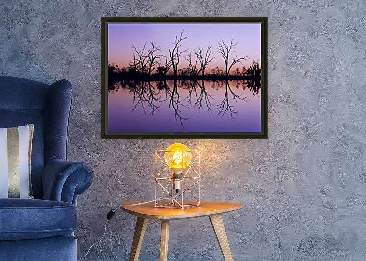 Tree Skeleton Silhouettes by Lexa Harpell