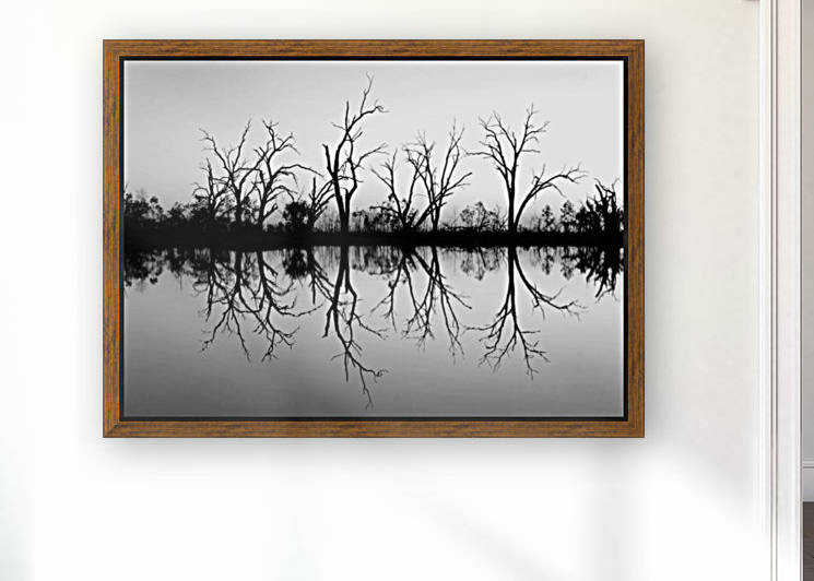 Tree Skeleton Silhouettes in B&W by Lexa Harpell