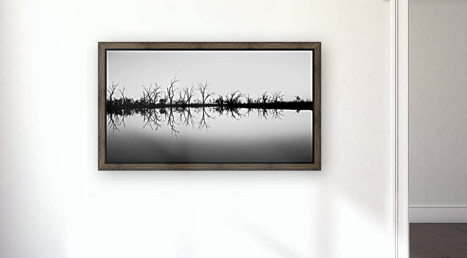 Sunset on Pamamaroo Lake in B&W by Lexa Harpell