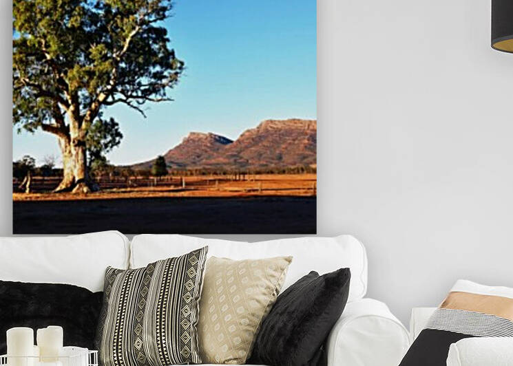 Gum Tree in Flinders Ranges 2 by Lexa Harpell