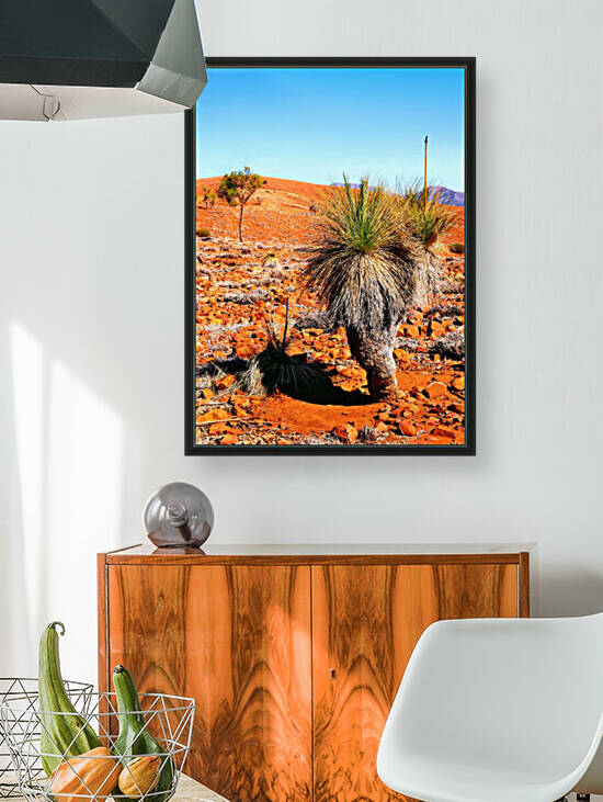 Grass Tree in the Outback by Lexa Harpell