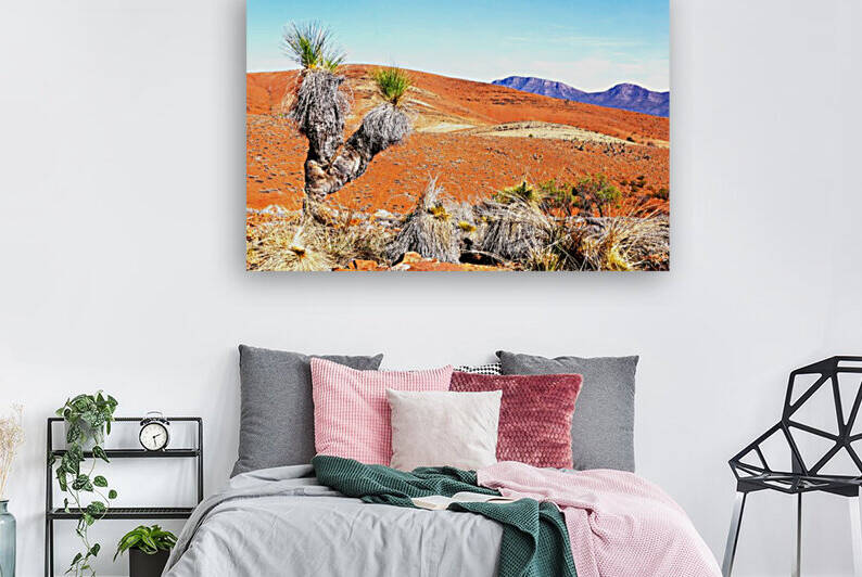 Grass Trees  in the Outback 2 by Lexa Harpell