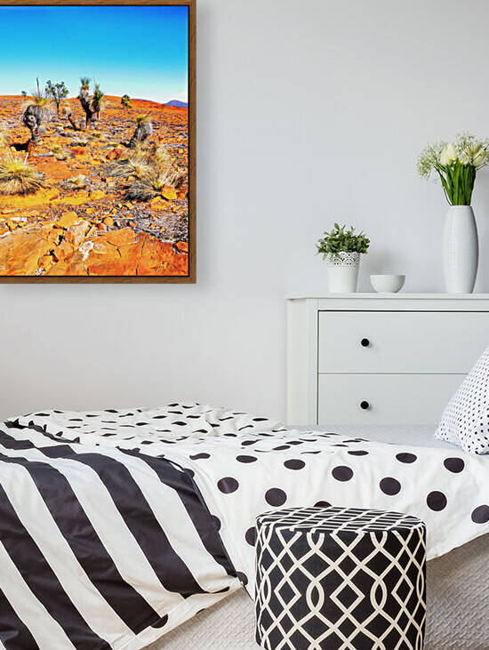 Grass Tree in the Outback 2 by Lexa Harpell