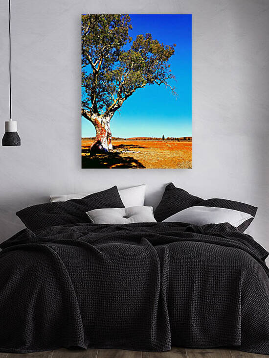 Gum Tree in Flinders Ranges 2 by Lexa Harpell