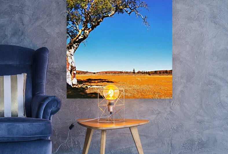 Gum Tree in the Flinders by Lexa Harpell