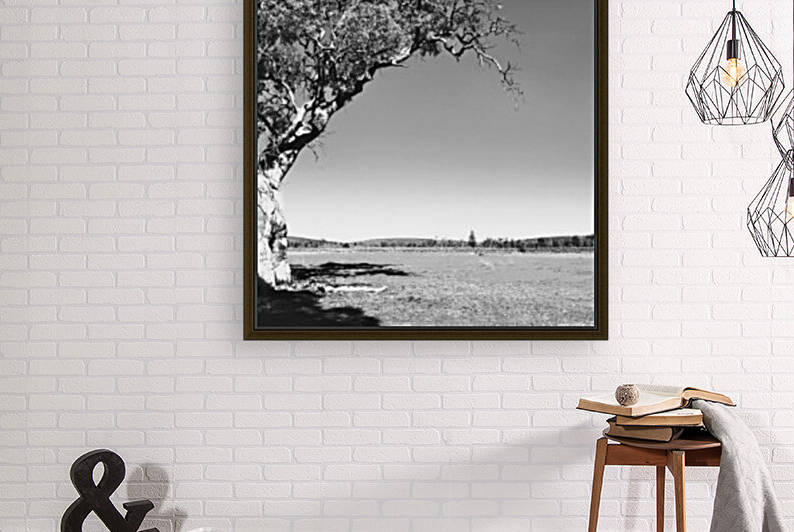 Gum Tree in the Flinders BW by Lexa Harpell