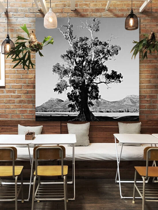 Cazneaux Tree BW 2 by Lexa Harpell