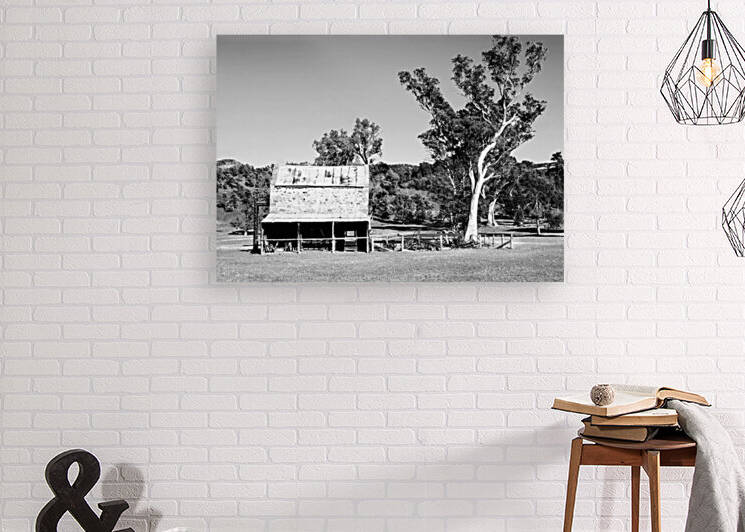 Old Wilpena Station 2 BW  by Lexa Harpell