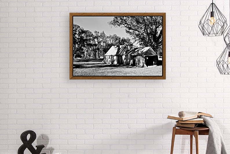 Old Wilpena Station BW  by Lexa Harpell